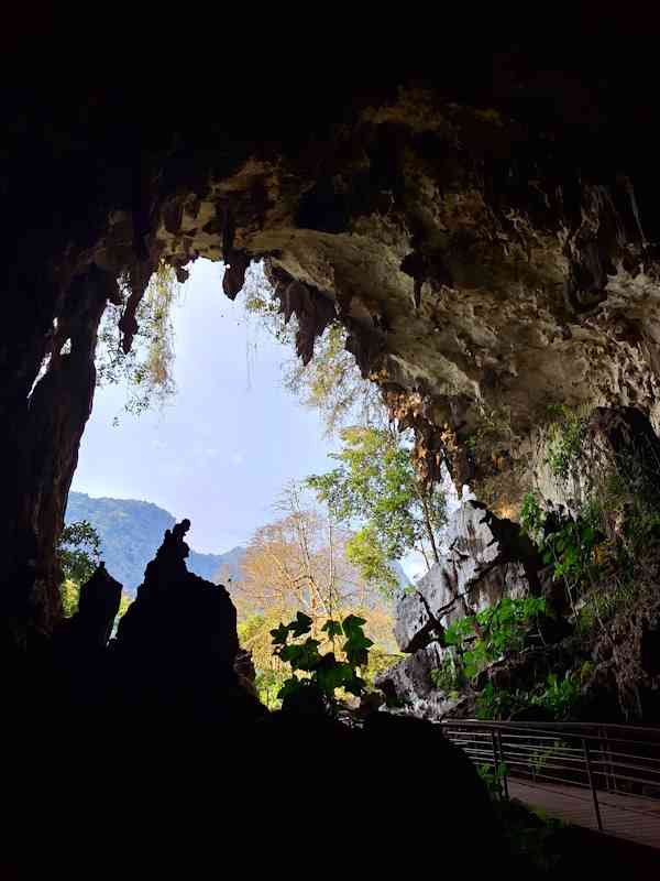Cueva de las Lechuzas Parque Nacional Tingo María