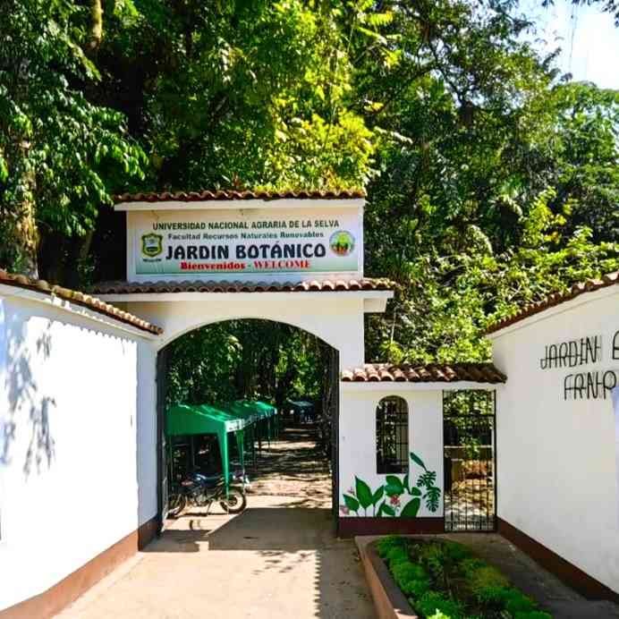 Jardin Arbol Jardin Botanico UNAS Tingo María